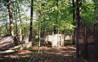 woods